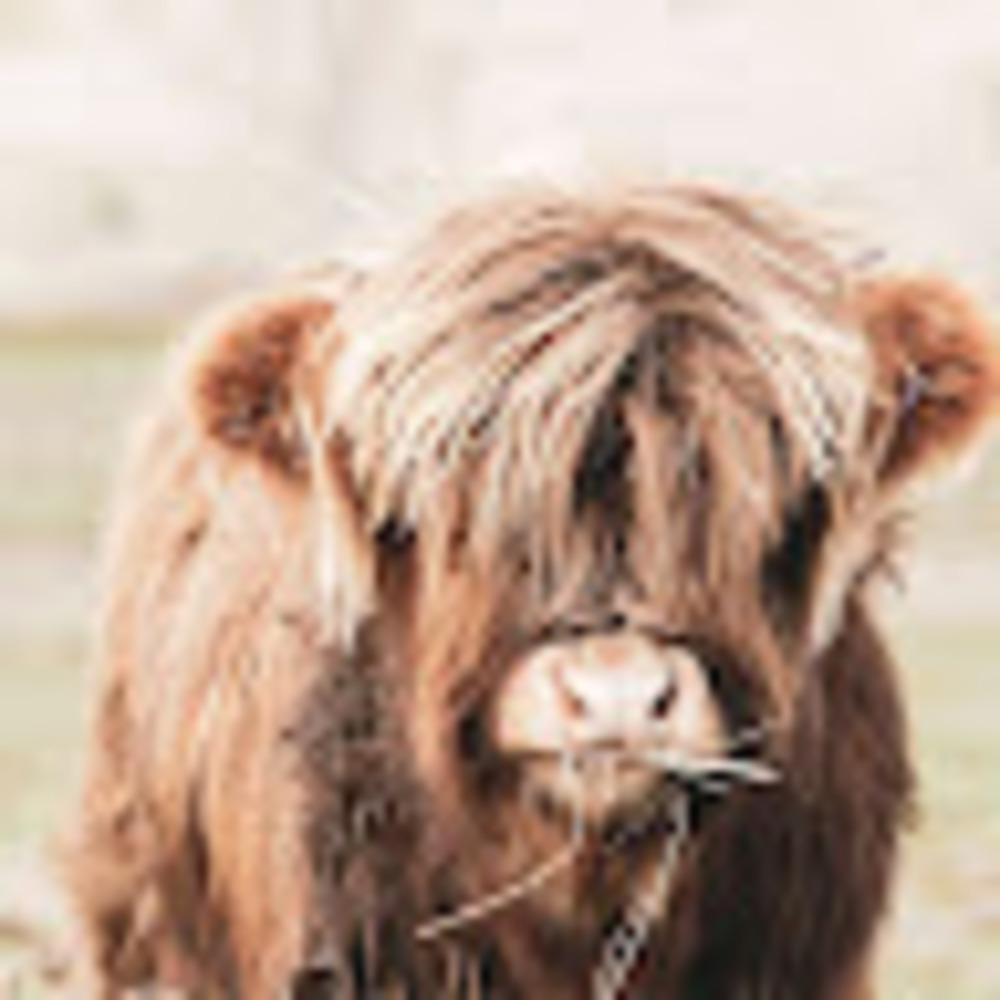 Meet your Posher, Country